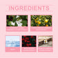 Rose Elegant Roll-On Perfume Women's Wrist Long-Lasting Light Fragrance Fresh Floral Roses Keep Perfume Perfume